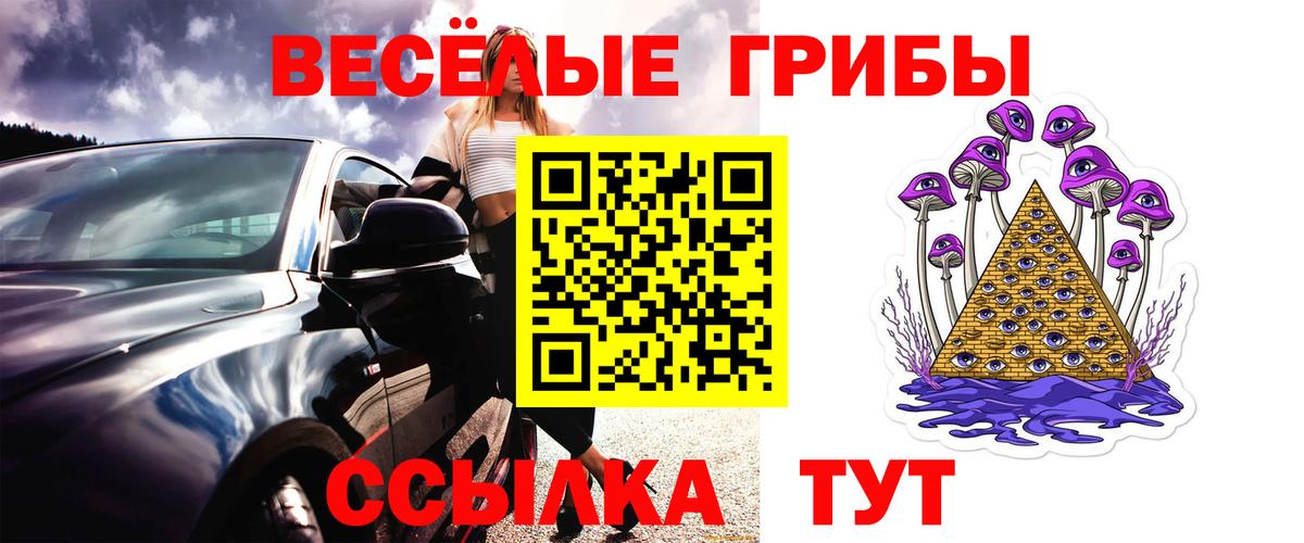 Галлюциногенные грибы мицелий Россия