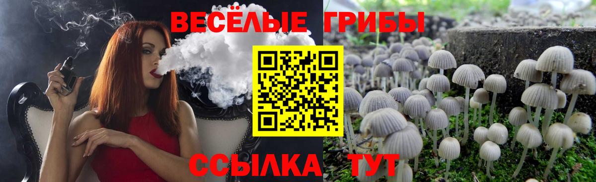 сколько стоит  Галлюциногенные грибы MAGIC MUSHROOMS  Вход с VPN  Россия  Псилоцибиновые грибы мицелий 